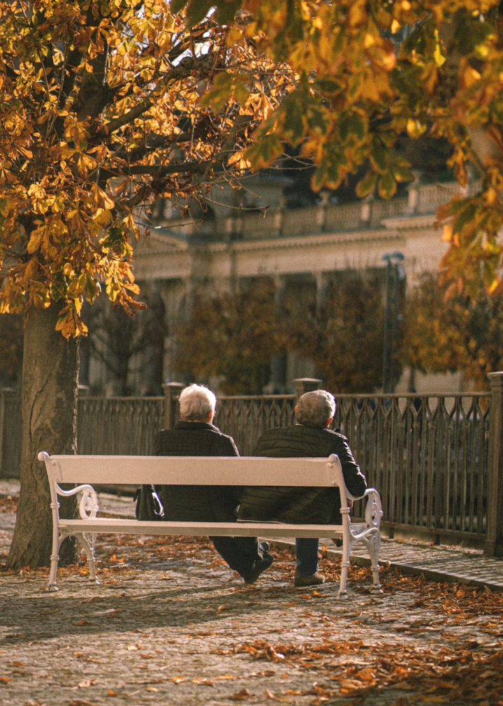 Autumn scene looking at two seniors on a bench from behind.