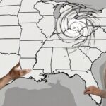 A Discussion over the Weather
